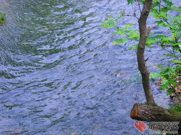 http://www.newswatch247.com/pics/default/download/9b176ae29c78ce4f366c5ed779a87f4d.jpg