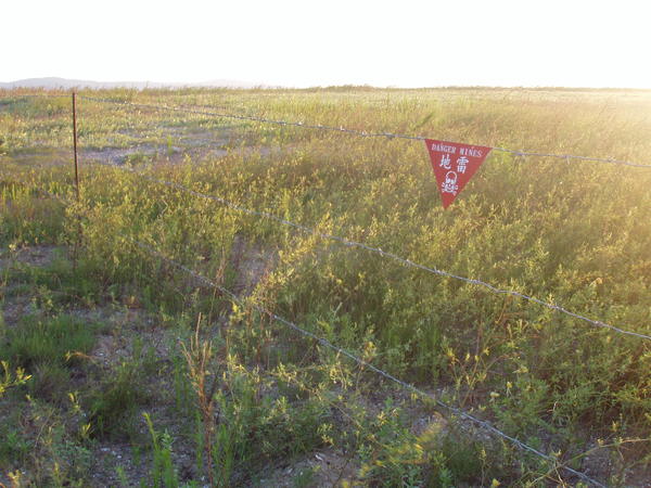 夏天協(xié)奏曲 勘景