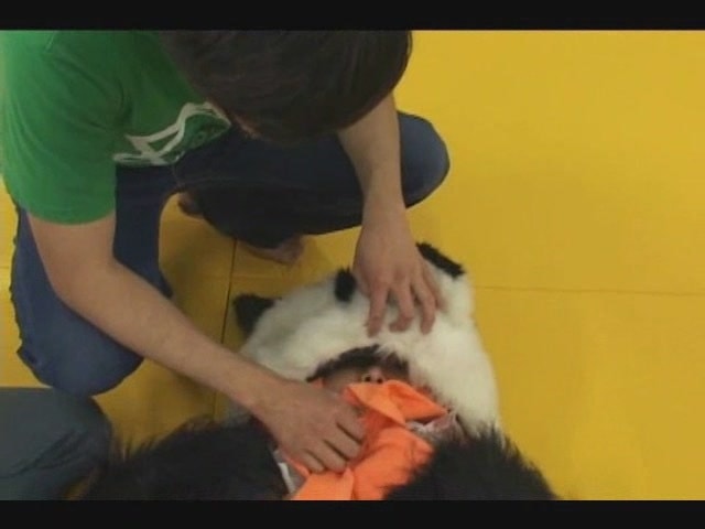 http://www.newswatch247.com/pics/default/download/9d60e8c7a3e482ec92dc68258a2b8384.jpg