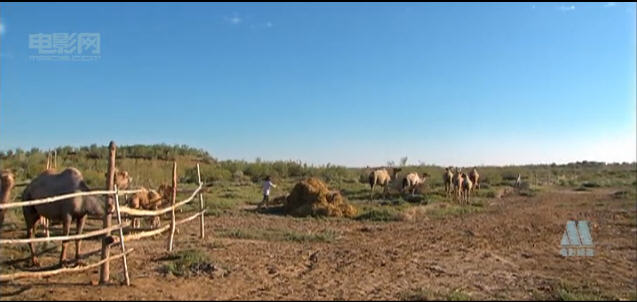 http://www.newswatch247.com/pics/default/download/9daa9b0997c2ae99718cd8c06fd935a8.jpg