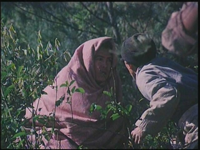 http://www.newswatch247.com/pics/default/download/9df4f3494556b6c1a0610769ed1fde4f.jpg