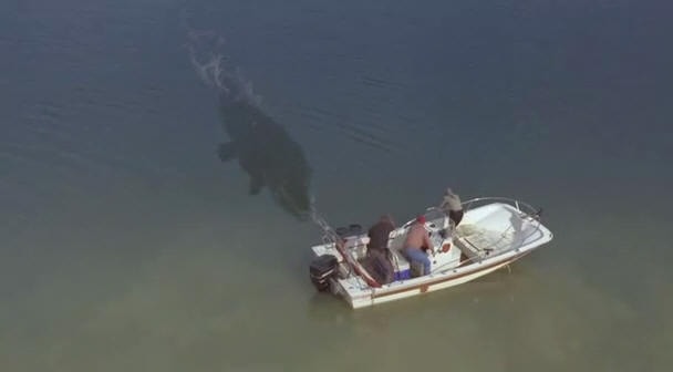 http://www.newswatch247.com/pics/default/download/9ed2e653459ceb4cf99c02f464eec0e1.jpg