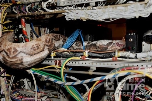 http://www.newswatch247.com/pics/default/download/a1294477f1a1da3639529b1fd33c9e5b.jpg