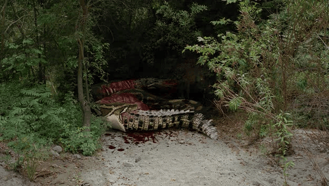 http://www.newswatch247.com/pics/default/download/a30531881912e6cb99de64cd3d805430.jpg