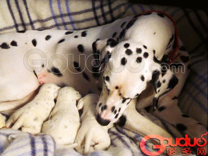 http://www.newswatch247.com/pics/default/download/a37374d606ce3682001c81087e1127a4.jpg