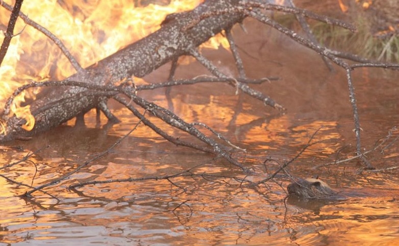 http://www.newswatch247.com/pics/default/download/a3f35d42ef68c7b66396a6a6b444f01b.jpg