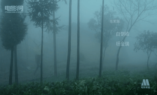 http://www.newswatch247.com/pics/default/download/aa4f5c8aca4ce65d2d289e954c3464e5.jpg