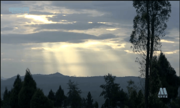 http://www.newswatch247.com/pics/default/download/aaa488c9c041ce7575156267dd0f9060.jpg