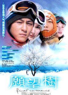 愿望樹