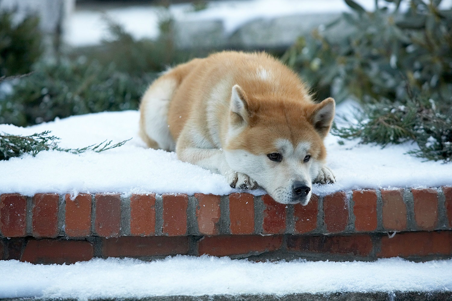 http://www.newswatch247.com/pics/default/download/ac25f1ef2266a1fef4b858e2182589a1.jpg