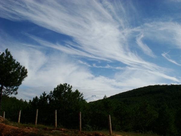 http://www.newswatch247.com/pics/default/download/ad3c3b690b71097074b3c991ec8d18ac.jpg