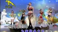 常回家看看， 酒廊情歌《十四大美女》太好聽！