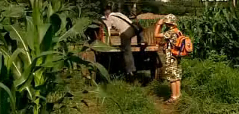 http://www.newswatch247.com/pics/default/download/afb36d2b4d65dfa7cbcf1c5544365d91.jpg
