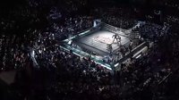 鐵甲鋼拳 預(yù)告片 電腦清潔www.pc299.com