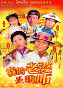 我的老婆是狀師