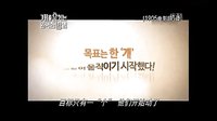 韓國電影《盜狗賊》中文預告片