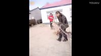 這個(gè)段子太搞笑了，不笑你打我