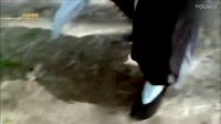 僵尸被打激素，變成窮兇極惡吸血成性無敵的，林正英都被打敗而逃