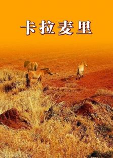 卡拉麥里