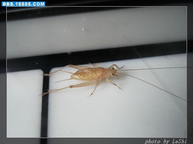 http://www.newswatch247.com/pics/default/download/b5e4989a69abbae64c39ca29f8188dd5.jpg