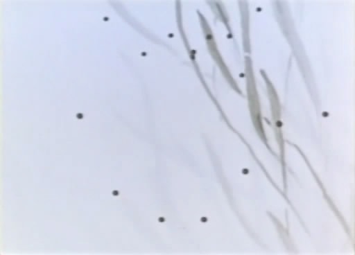http://www.newswatch247.com/pics/default/download/b66b2b9c2ebd3e0c8a5492087c5973ec.jpg