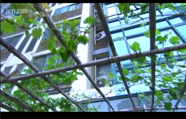 http://www.newswatch247.com/pics/default/download/b6d3/2444771331b55231303bb618f421.jpg