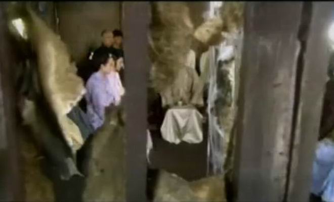 http://www.newswatch247.com/pics/default/download/b7aa3208e86320f566e98b1377764c26.jpg