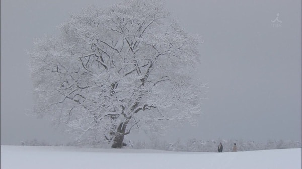 http://www.newswatch247.com/pics/default/download/b9e71a199abf9f68d9107bcd8c1ba016.jpg