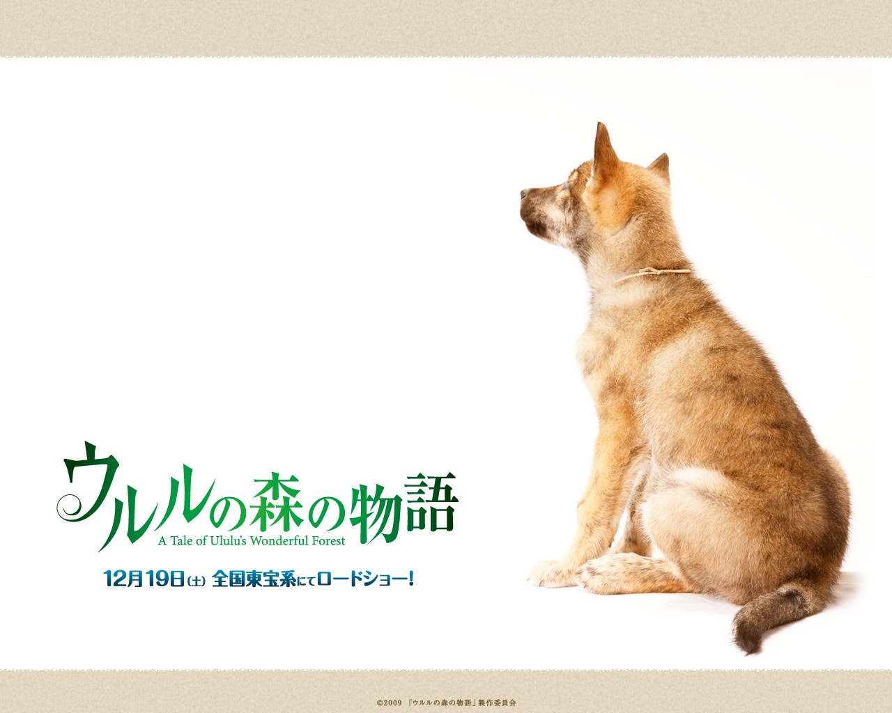 http://www.newswatch247.com/pics/default/download/ba84462665cdcd9723a8c13a3775a8c2.jpg