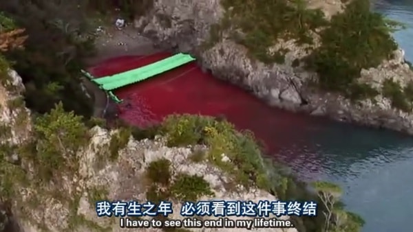 http://www.newswatch247.com/pics/default/download/bc2db827ed3e843b23dc16923528d64b.jpg