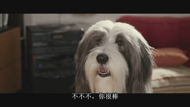 http://www.newswatch247.com/pics/default/download/bc4b71760b1b36880c1371a92ccb644b.jpg