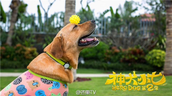 http://www.newswatch247.com/pics/default/download/bcc2198ce7df2bf3df0f86e369e1a339.jpg