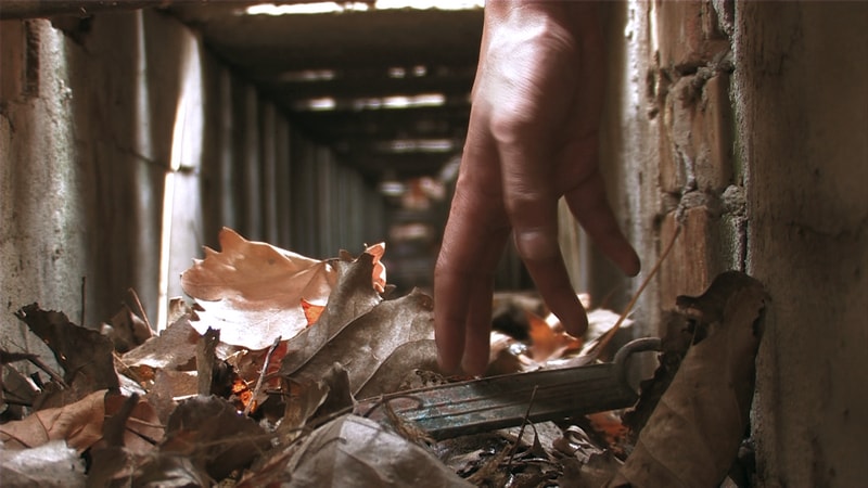 http://www.newswatch247.com/pics/default/download/bd1318a36dcee6d3e5c4771e6f2e442f.jpg