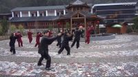 程保榮大師藍孔雀園老架片斷