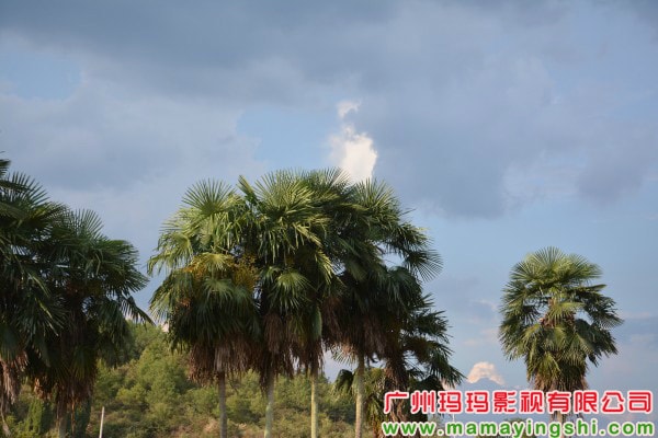 http://www.newswatch247.com/pics/default/download/bf626989fdbfd63a1b33de70eb4d58a4.jpg