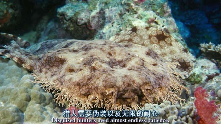 http://www.newswatch247.com/pics/default/download/bf9b3c7d053429d56f8ff048daa99788.jpg