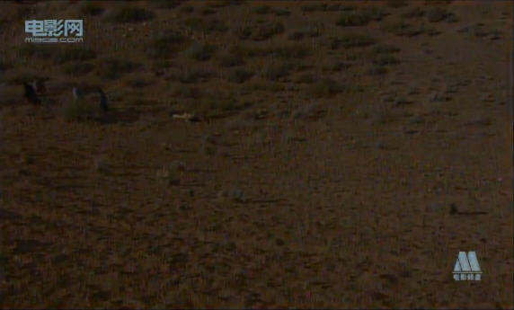 http://www.newswatch247.com/pics/default/download/c4e7a42f2f367fa72b6b066d8098e03f.jpg