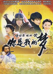 你是我的夢