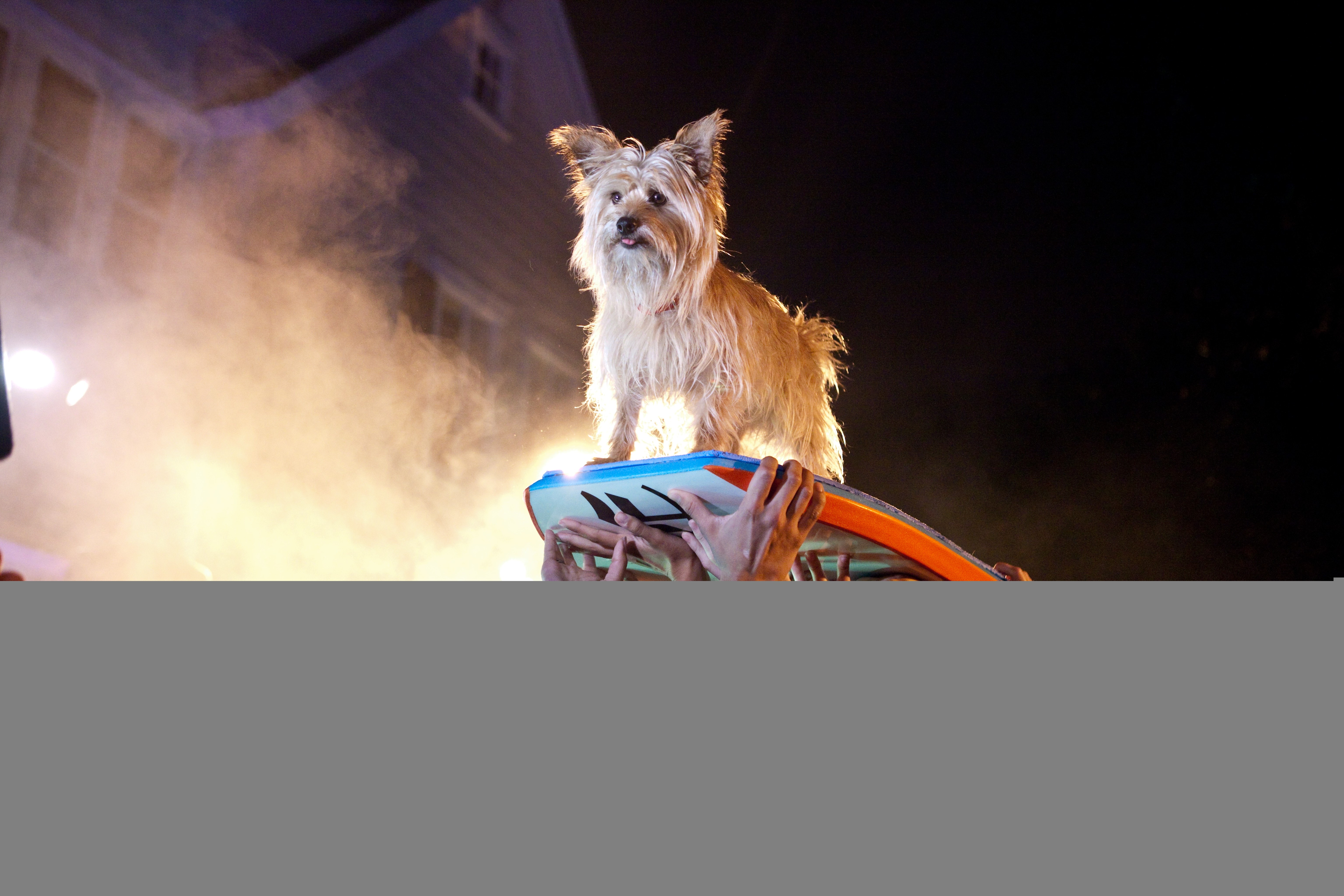 http://www.newswatch247.com/pics/default/download/c677ff36af6c82ac0d261851a073f6d9.jpg