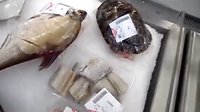 [拍客]武漢超市賣死烏龜，這能吃嗎？是便宜，才10來塊錢，但這能食用嗎？這不是變質毒物嗎？