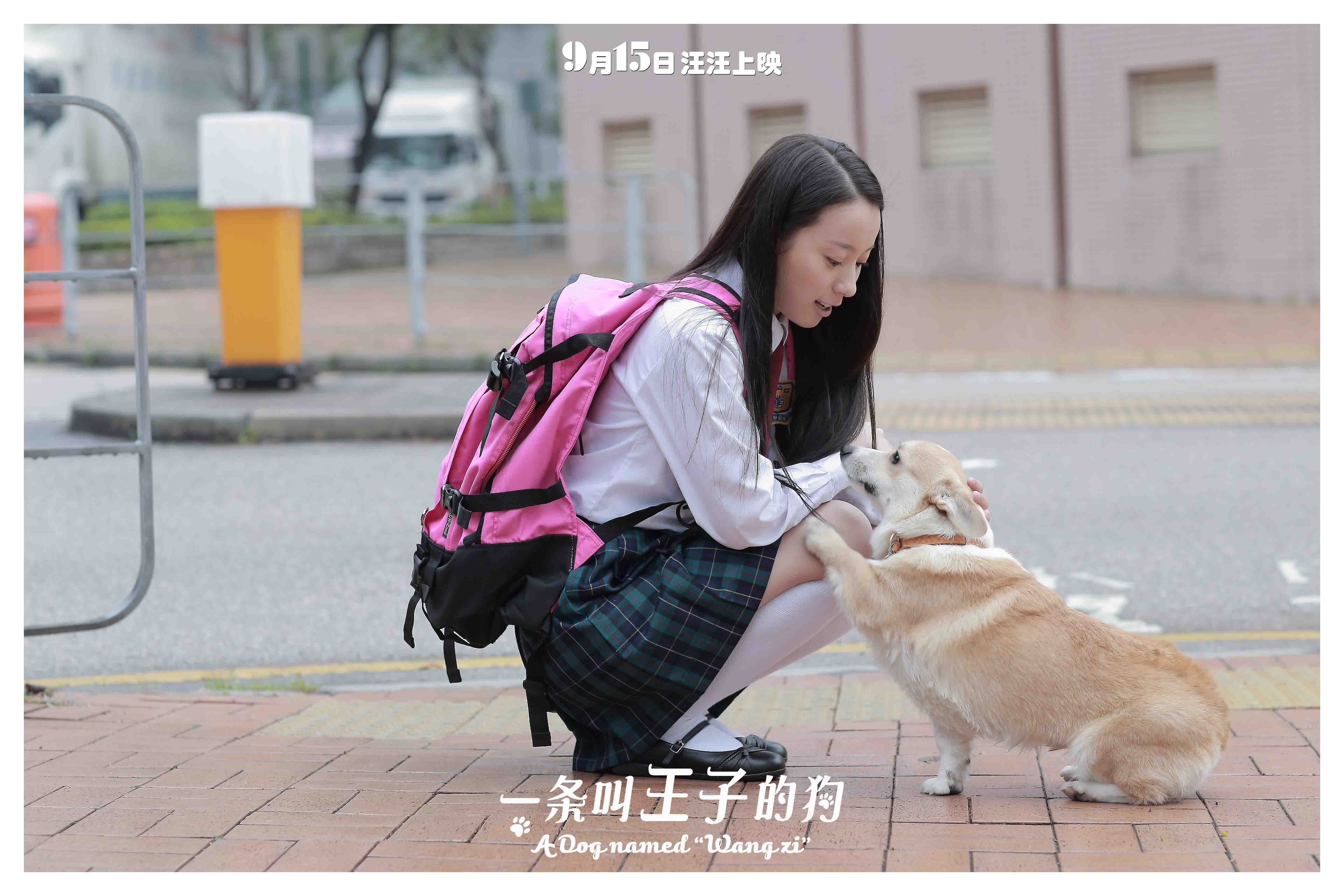 http://www.newswatch247.com/pics/default/download/c9c2747960d6bd9455a60fee1c484a99.jpg