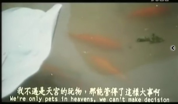 http://www.newswatch247.com/pics/default/download/c9c778a7e1c8e947292cef7e0ea16730.jpg