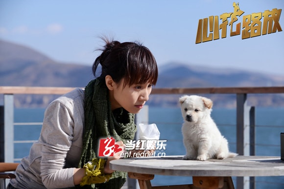 http://www.newswatch247.com/pics/default/download/cbb30619820d46473ad4eb2b3b73b06c.jpg