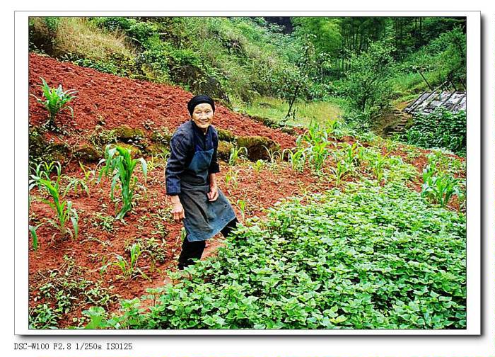 http://www.newswatch247.com/pics/default/download/cf3fac071f9f246661537c2fdf10d701.jpg