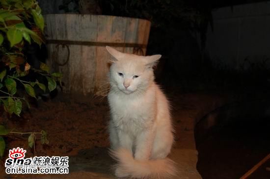 http://www.newswatch247.com/pics/default/download/d011f95313007f94305322f2265c63af.jpg
