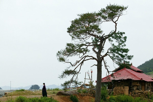 http://www.newswatch247.com/pics/default/download/d28f57f1b6e2982976aafd83081c060f.jpg