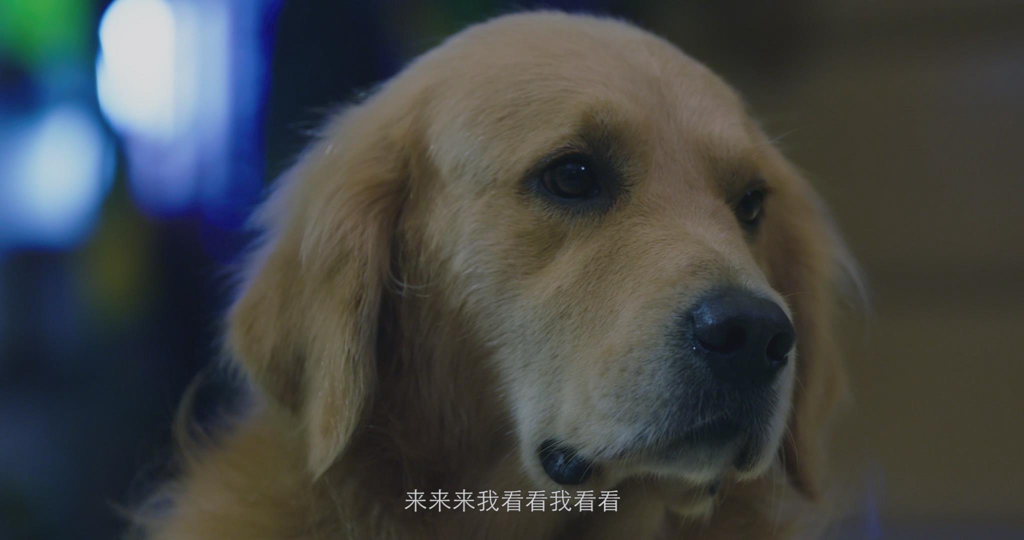 http://www.newswatch247.com/pics/default/download/d345ad048fb24308eb7edbda21d11288.jpg