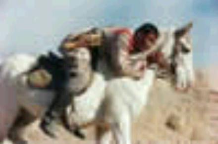 http://www.newswatch247.com/pics/default/download/d3bbf6825e6a165b99b027d731f649f5.jpg