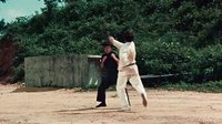 猛龍過江  李小龍VS空手道、合氣道高手