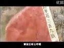 八路軍 插曲 359旅大生產歌